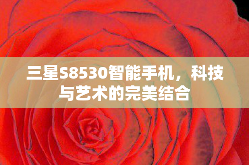 三星S8530智能手机图片