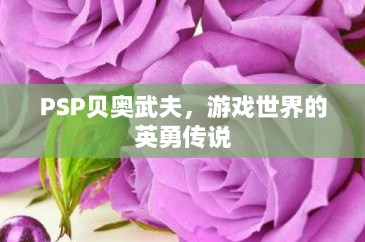 游戏世界的英勇传说图片