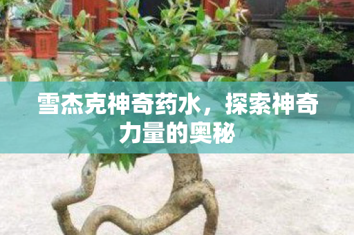 探索神奇力量的奥秘图片