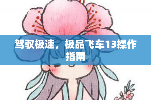 极品飞车13操作指南图片