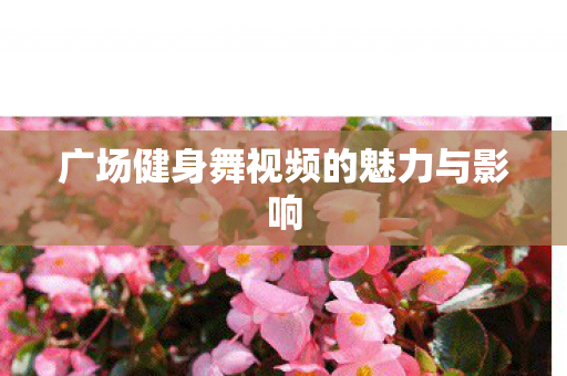广场健身舞视频的魅力与影响图片