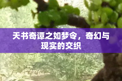 天书奇谭之如梦令图片