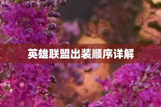 英雄联盟出装顺序详解图片