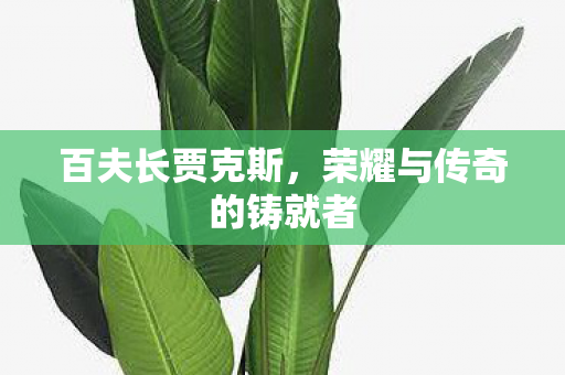荣耀与传奇的铸就者图片