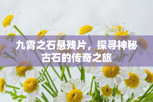 探寻神秘古石的传奇之旅图片