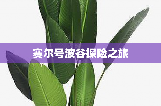 赛尔号波谷探险之旅图片