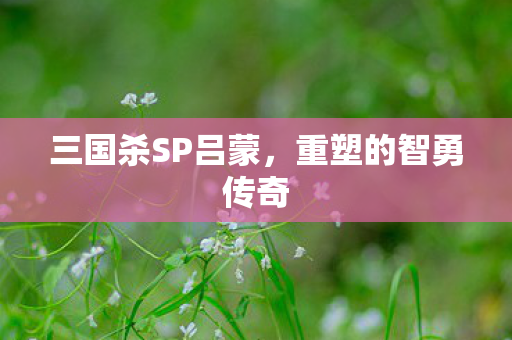 三国杀SP吕蒙图片