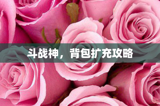 背包扩充攻略图片
