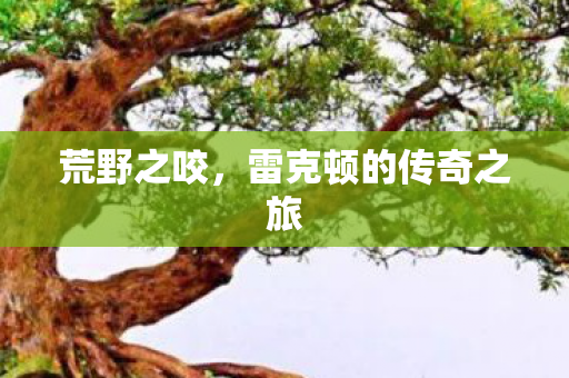 雷克顿的传奇之旅图片