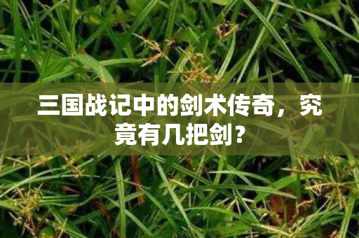 三国战记中的剑术传奇图片