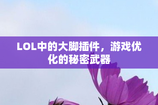 LOL中的大脚插件图片