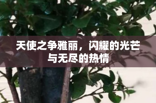 闪耀的光芒与无尽的热情图片