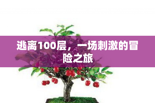 一场刺激的冒险之旅图片