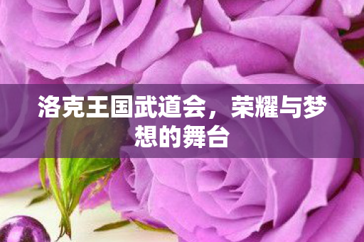 荣耀与梦想的舞台图片