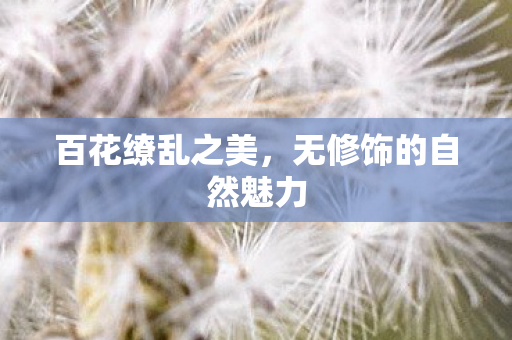 无修饰的自然魅力图片