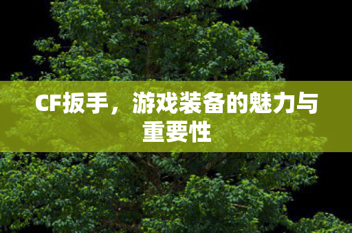 游戏装备的魅力与重要性图片