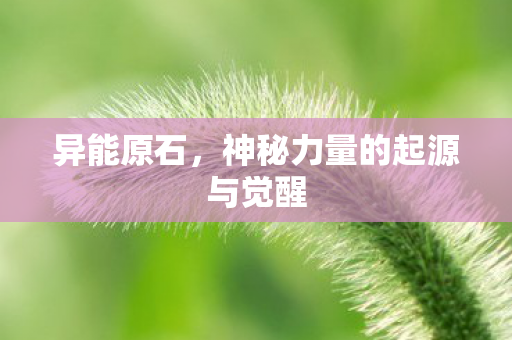 神秘力量的起源与觉醒图片