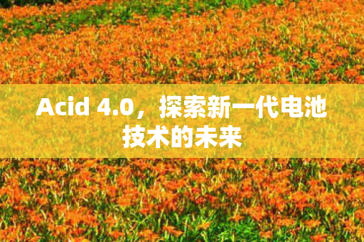 探索新一代电池技术的未来图片
