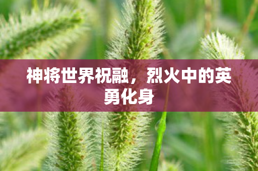 烈火中的英勇化身图片