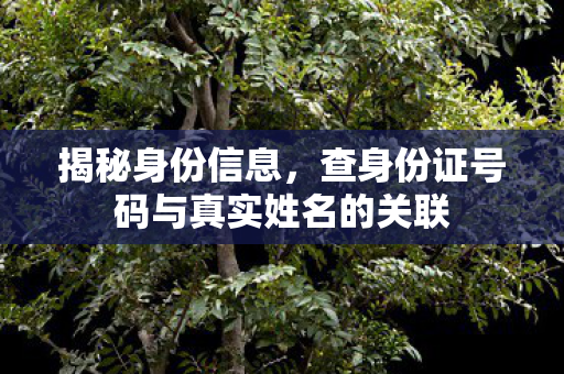 查身份证号码与真实姓名的关联图片
