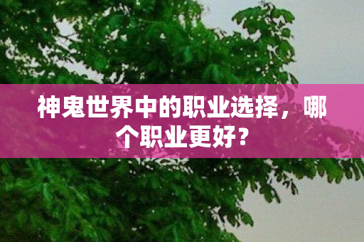 神鬼世界中的职业选择图片
