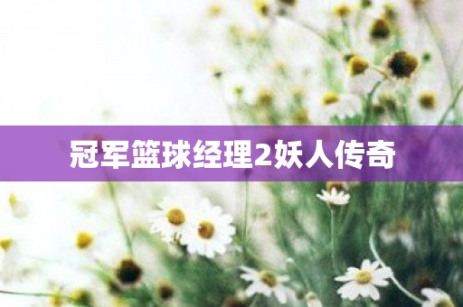 冠军篮球经理2妖人传奇图片