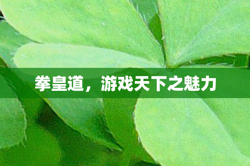 游戏天下之魅力图片