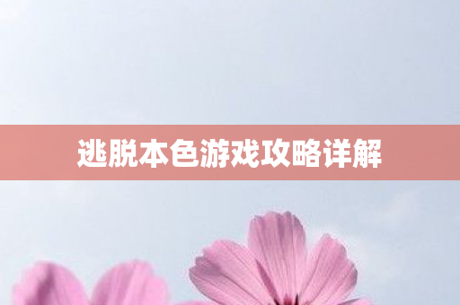 逃脱本色游戏攻略详解图片