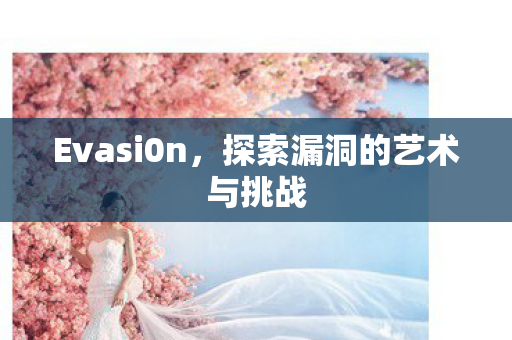 探索漏洞的艺术与挑战图片