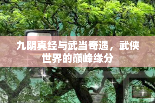 九阴真经与武当奇遇图片