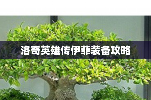 洛奇英雄传伊菲装备攻略图片