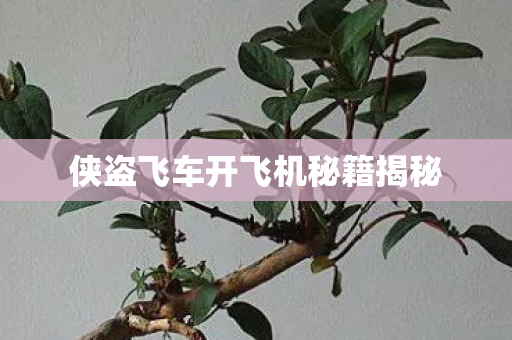 侠盗飞车开飞机秘籍揭秘图片