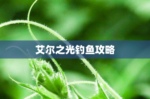 艾尔之光钓鱼攻略图片