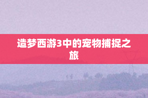 造梦西游3中的宠物捕捉之旅图片