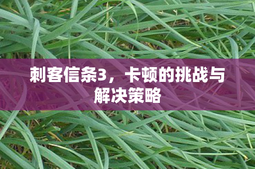 卡顿的挑战与解决策略图片