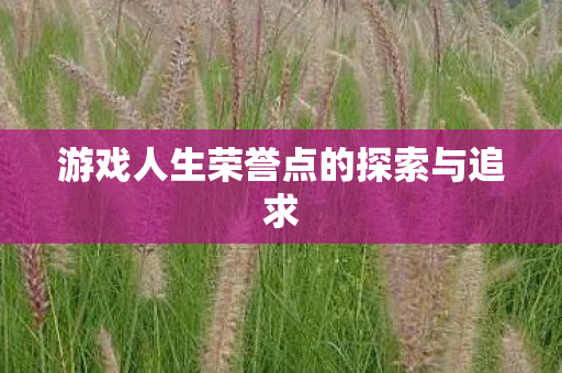 游戏人生荣誉点的探索与追求图片