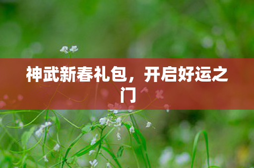 神武新春礼包图片