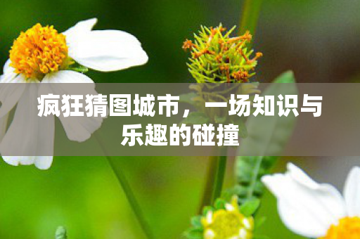 一场知识与乐趣的碰撞图片
