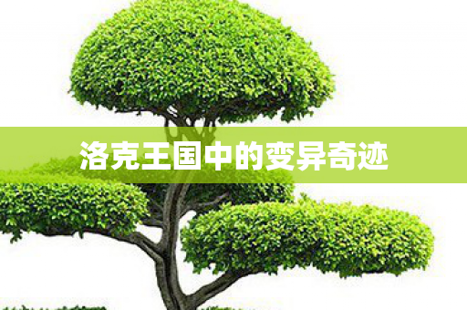 洛克王国中的变异奇迹图片