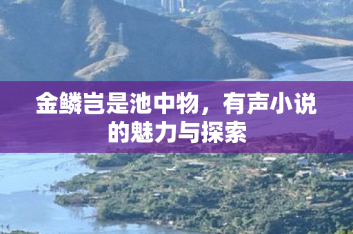 有声小说的魅力与探索图片
