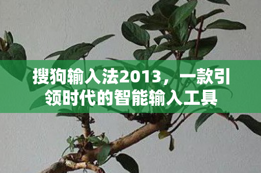 一款引领时代的智能输入工具图片