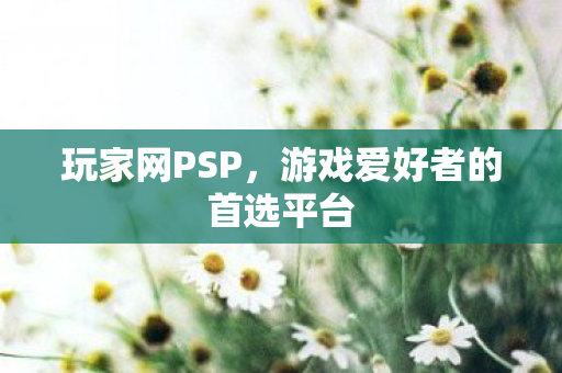 游戏爱好者的首选平台图片