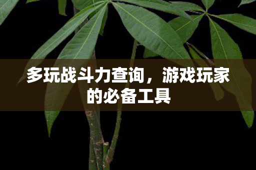 游戏玩家的必备工具图片