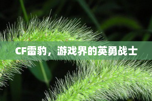 游戏界的英勇战士图片