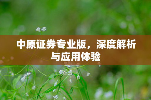 深度解析与应用体验图片