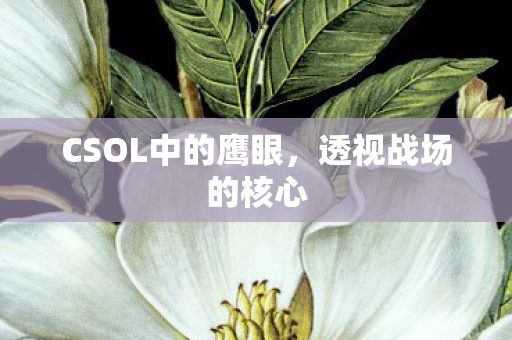 CSOL中的鹰眼图片