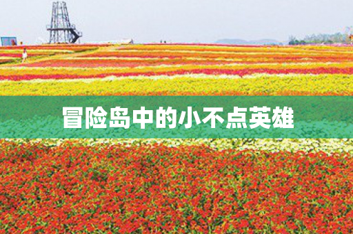 冒险岛中的小不点英雄图片