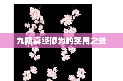 九阴真经修为的实用之处图片