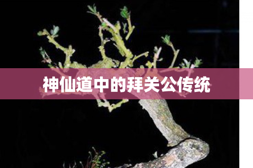 神仙道中的拜关公传统图片