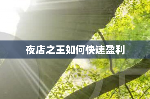 夜店之王如何快速盈利图片